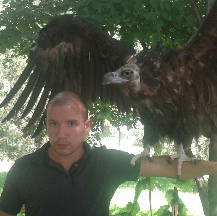 ���������� ������, ���� ������� �����, 39 ���, ������������ ��� ������, ����� � ���������