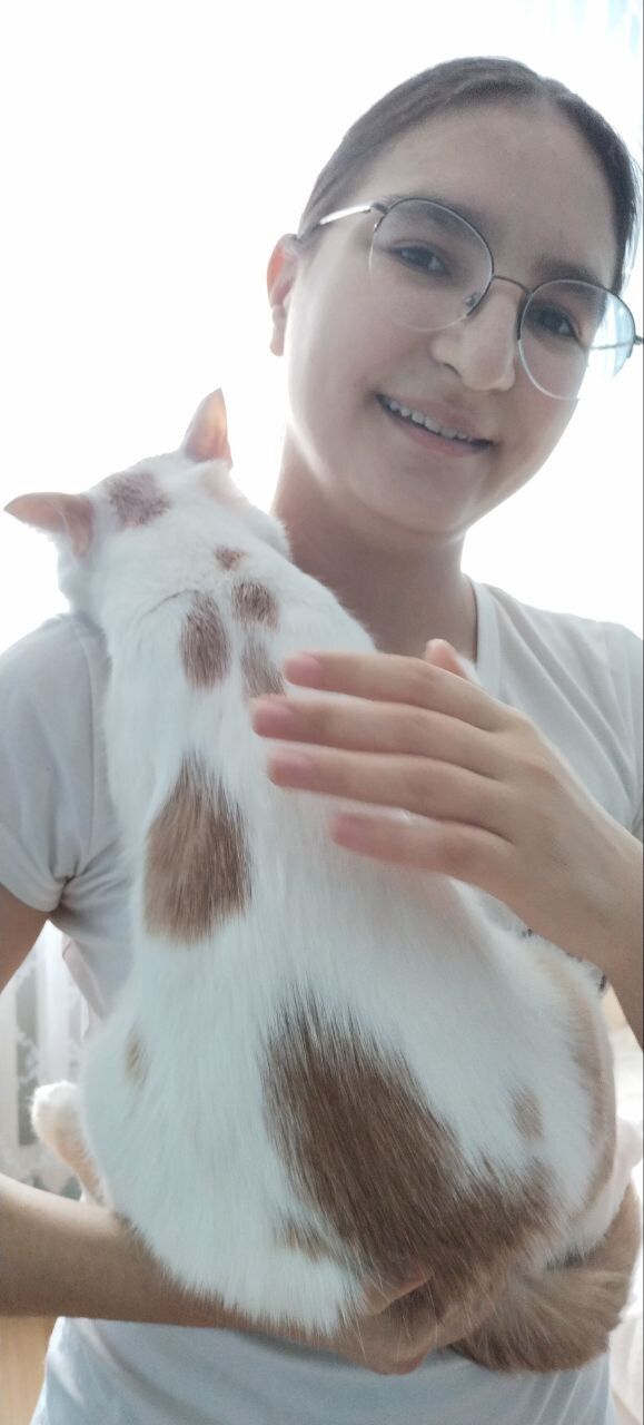 ���������� ����������, ���� ������� �����, 54 ����, ������������ ��� ������, ����� � ���������