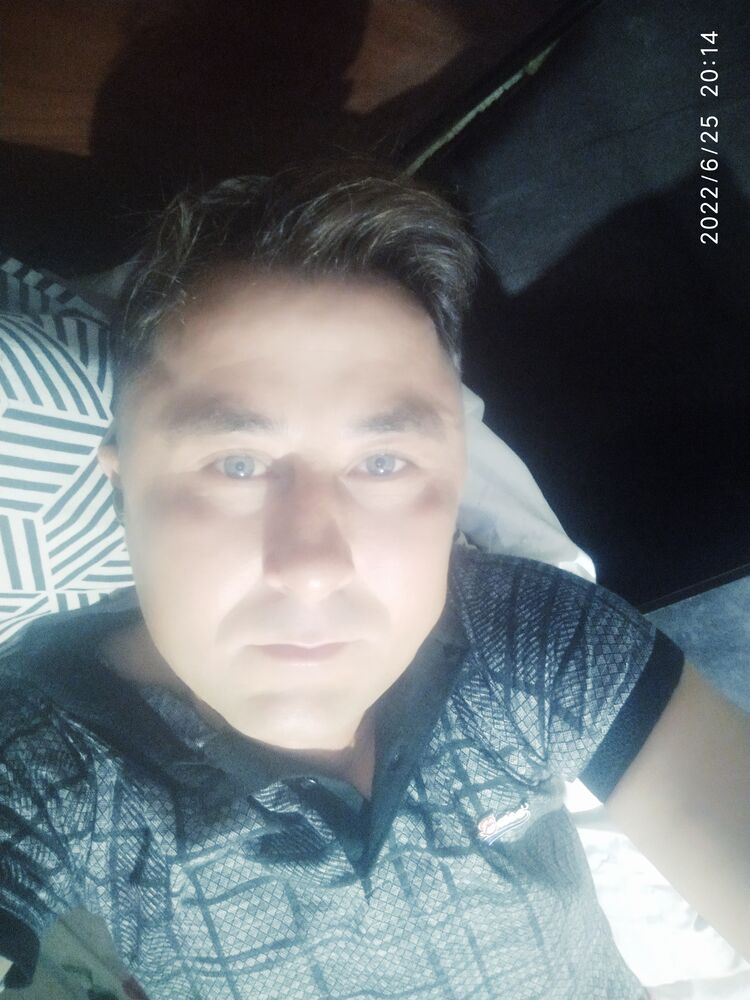  28241712  , 33 ,    
