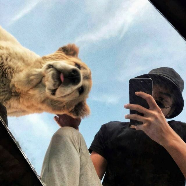 ���� 44874212 ����� �����, 22 ����, ���� ���������� � ������