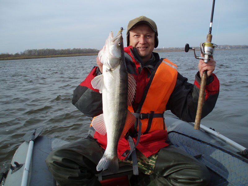 ���� 43147442 ������� ����, 41 ���, ���� ���������� � ������