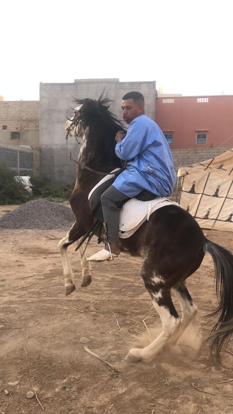 ���������� ������, ���� ������� Fidriko, 26 ���, ������������ ��� ������, ����� � ���������