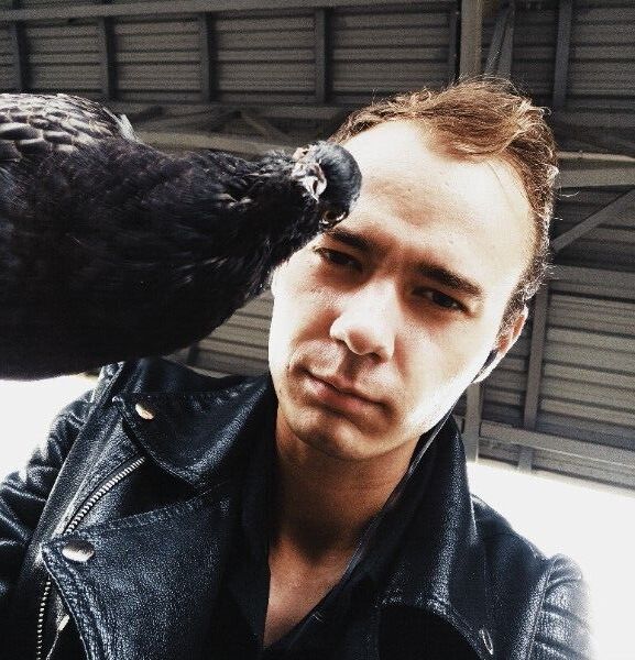  54623962  , 33 ,    -