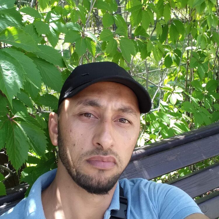  54225472  , 39 ,    -