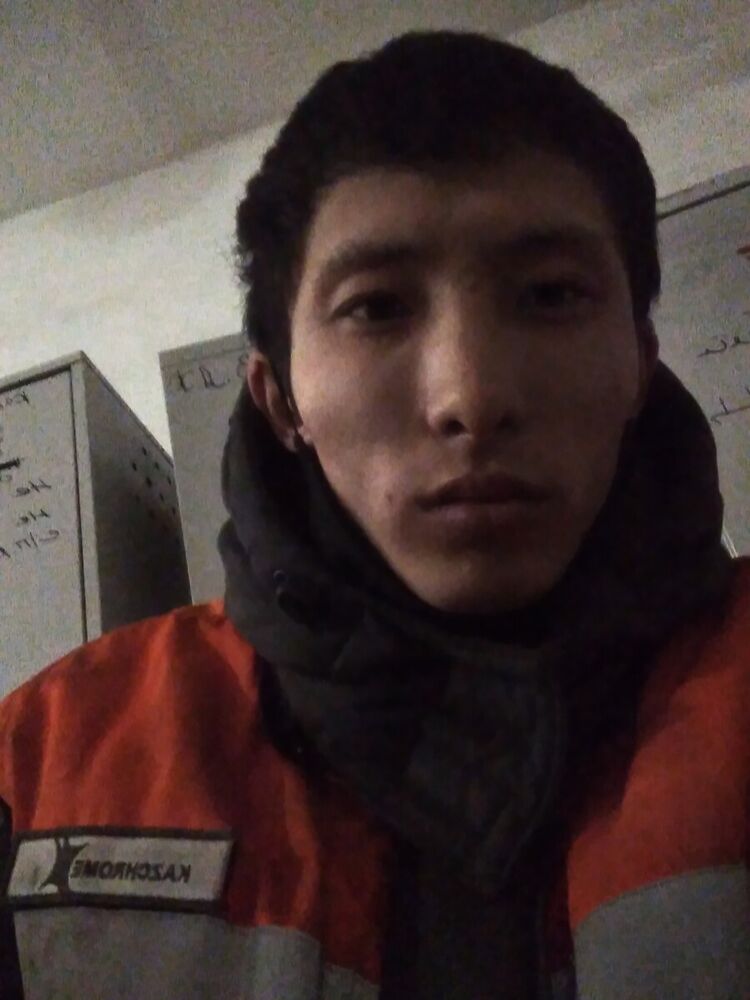  22409762  , 26 ,    