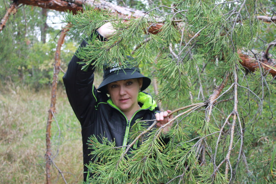 ���� 13767412 ������� ������, 55 ���, ���� ���������� � ������