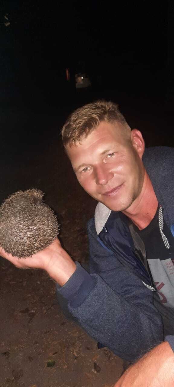 ���������� ����, ���� ������� ������, 43 ����, ������������ ��� ������, ����� � ���������, c�������� ���������