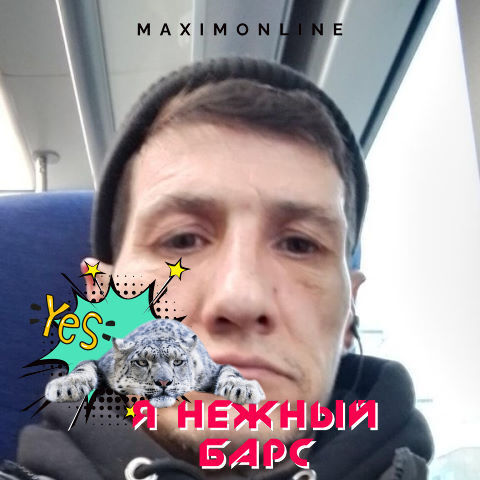  33465342  Nikolai, 49 ,    