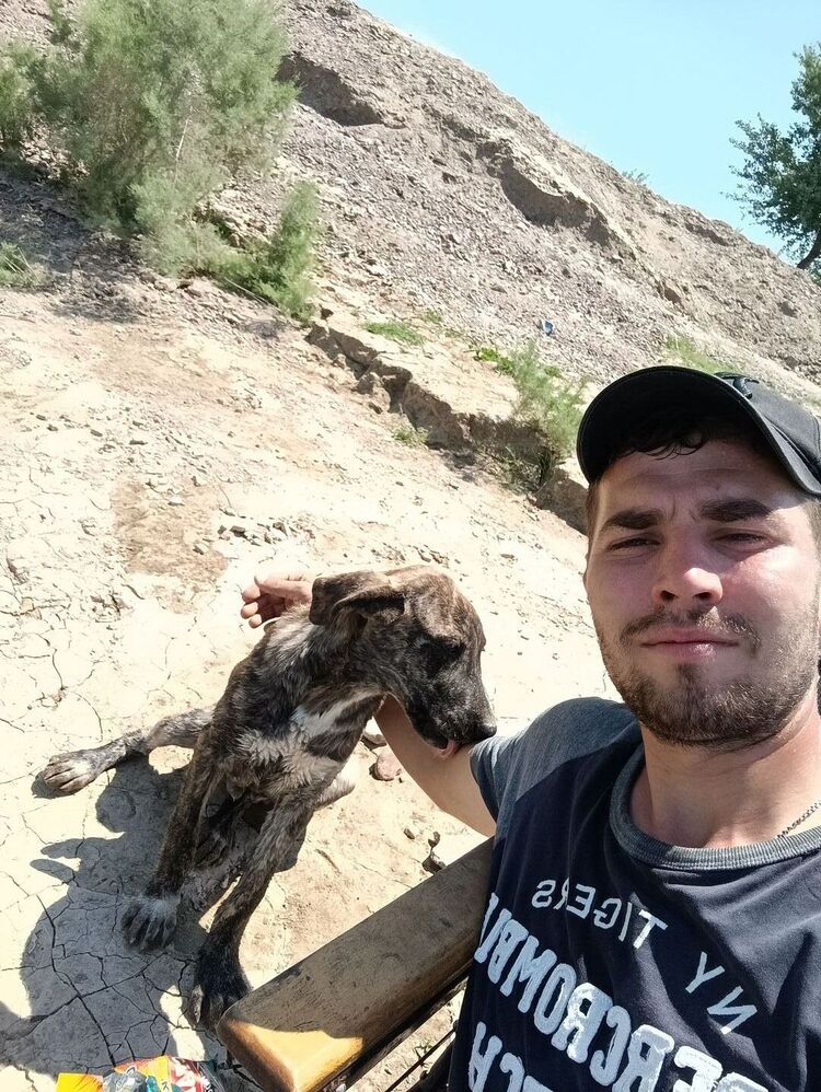 ���� 55883792 ������� �����, 36 ���, ���� ���������� � ��������