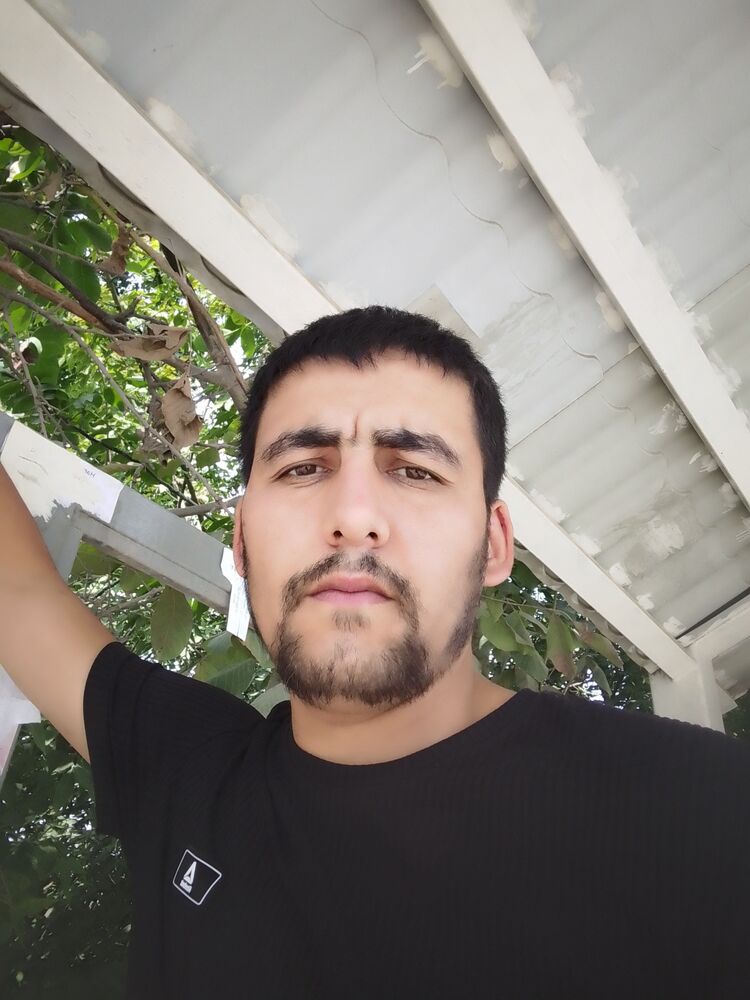 ���� 46119172 ������� �������, 33 ����, ���� ���������� � ����������