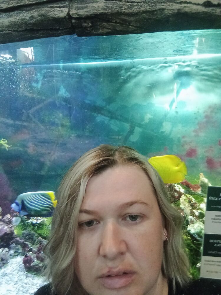 ���������� �����������, ���� ������� �����, 38 ���, ������������ ��� ������, ����� � ���������, c�������� ���������, ���������