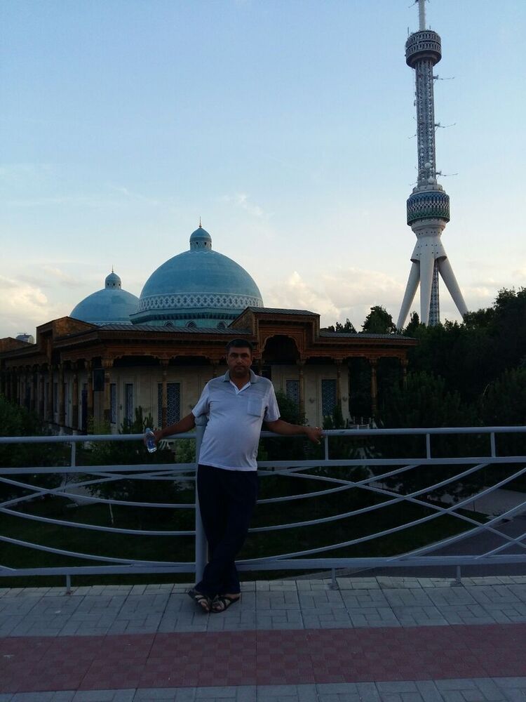  15061912  , 43 ,    