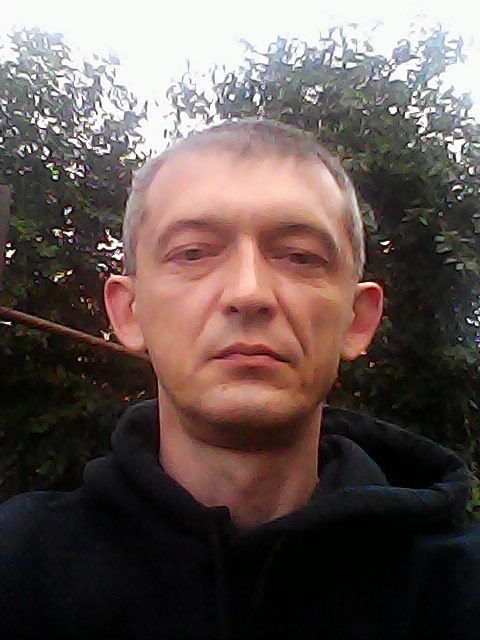  ,   , 53 ,   