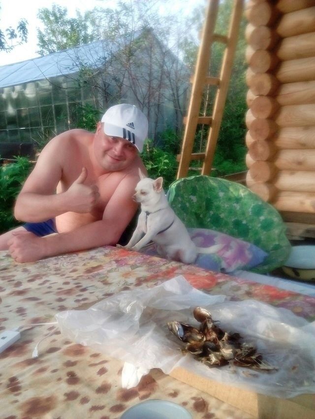 ���������� ������������, ���� ������� ����, 42 ����, ������������ ��� ������, ����� � ���������, c�������� ���������, ���������