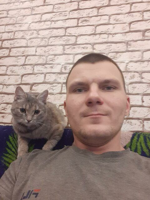 ���� 40422412 ������� ����, 34 ����, ���� ���������� � ������