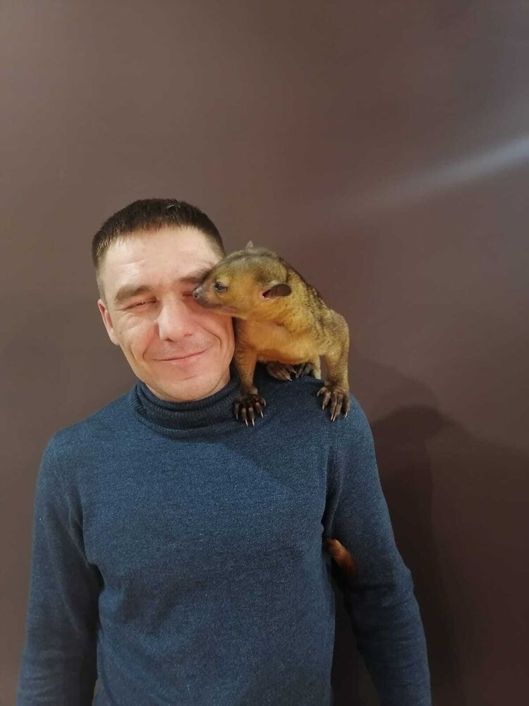 ���� 25805112 ������� ����, 37 ���, ���� ���������� � ������