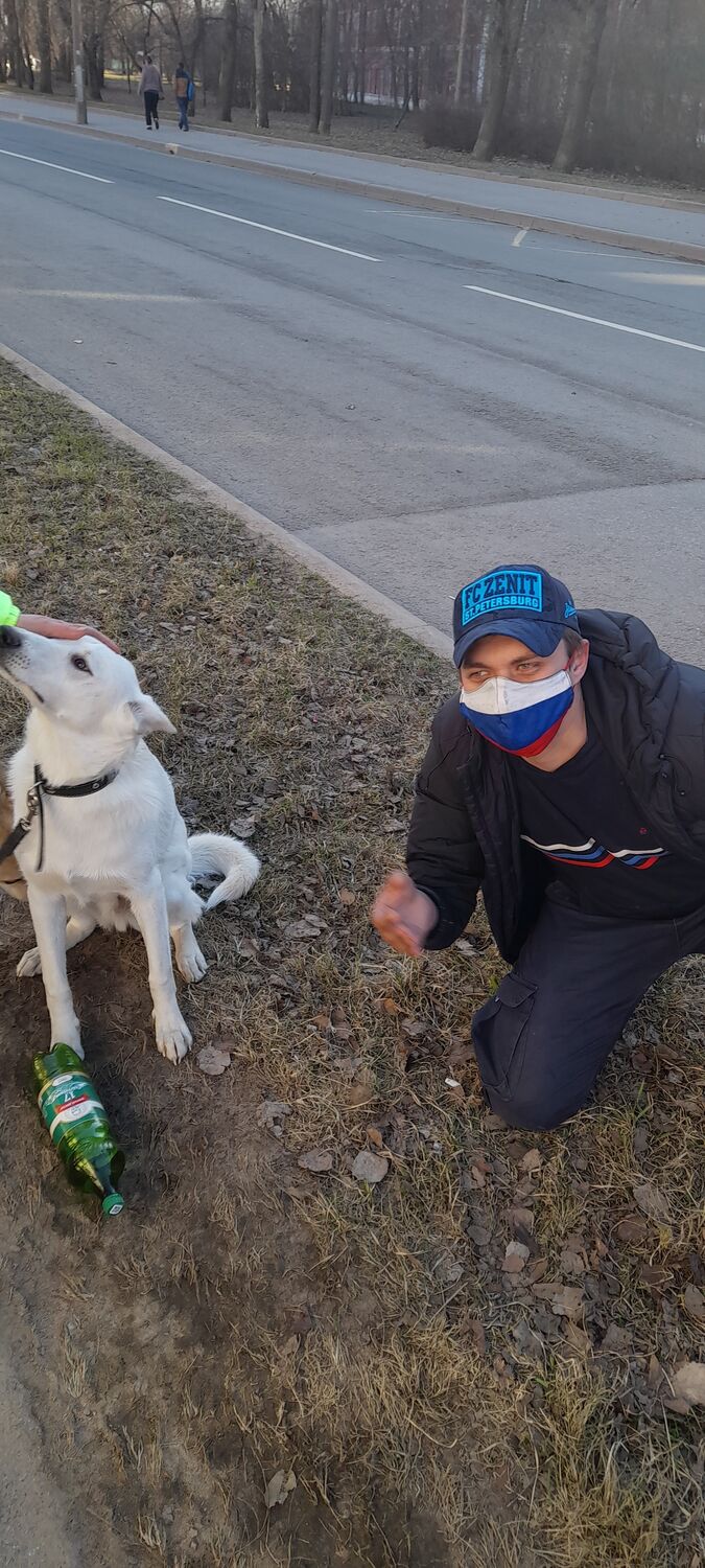 ���� 27244182 ������� ���������, 34 ����, ���� ���������� � �����-����������