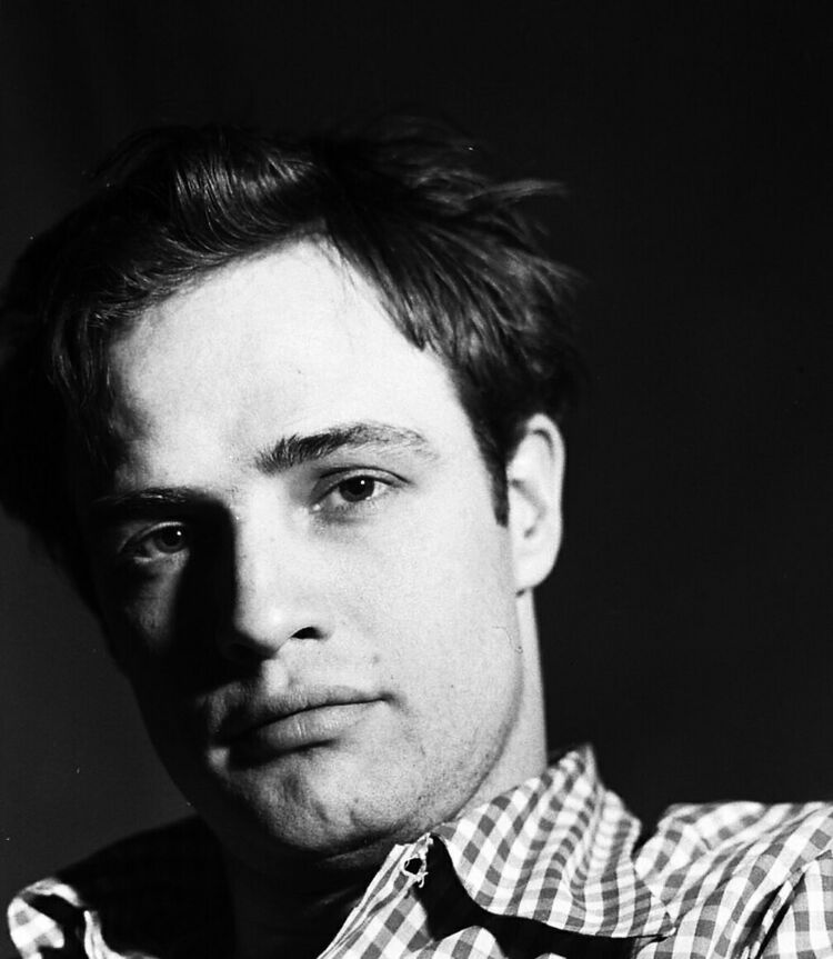 ���� 7733752 ������� �����, 33 ����, ���� ���������� � ������������