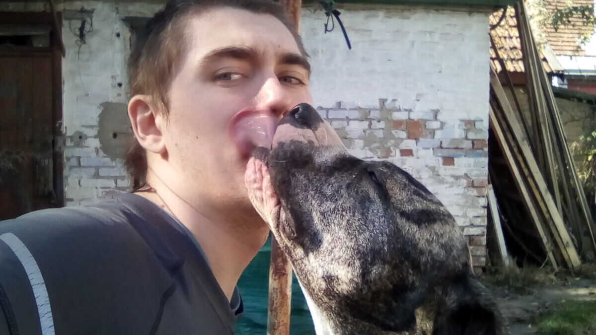 ���������� �������, ���� ������� ����, 29 ���, ������������ ��� ������, ����� � ���������, c�������� ���������