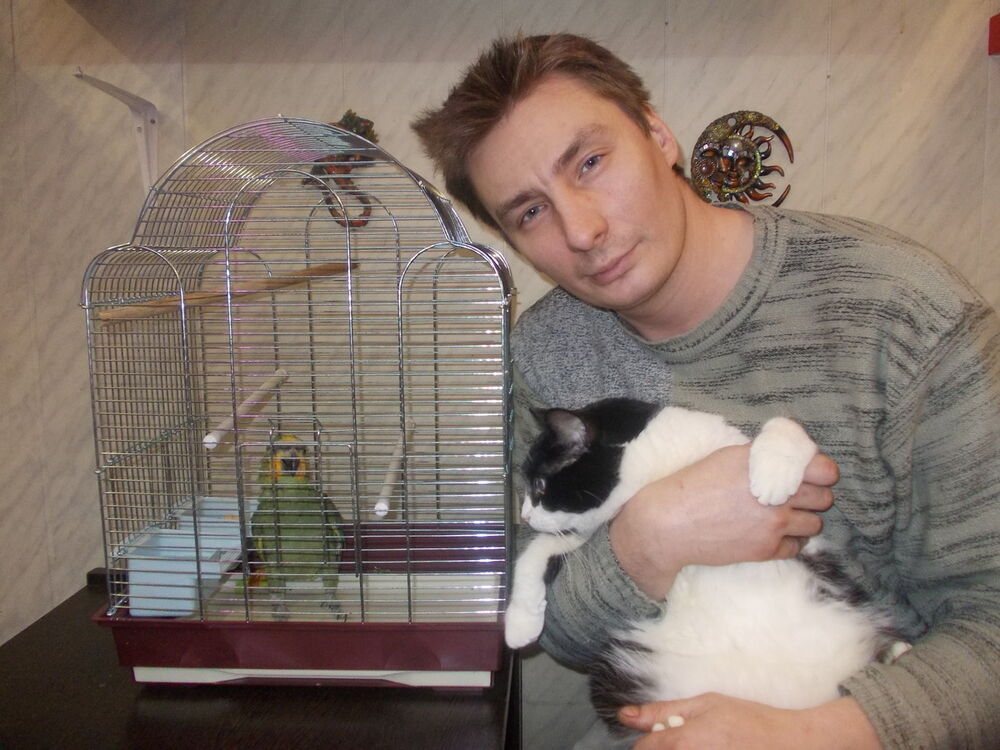 ���������� �����-���������, ���� ������� ���������, 48 ���, ������������ ��� ����� � ���������, c�������� ���������