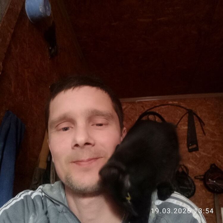 ���� 56134782 ������� ����, 41 ���, ���� ���������� � �����