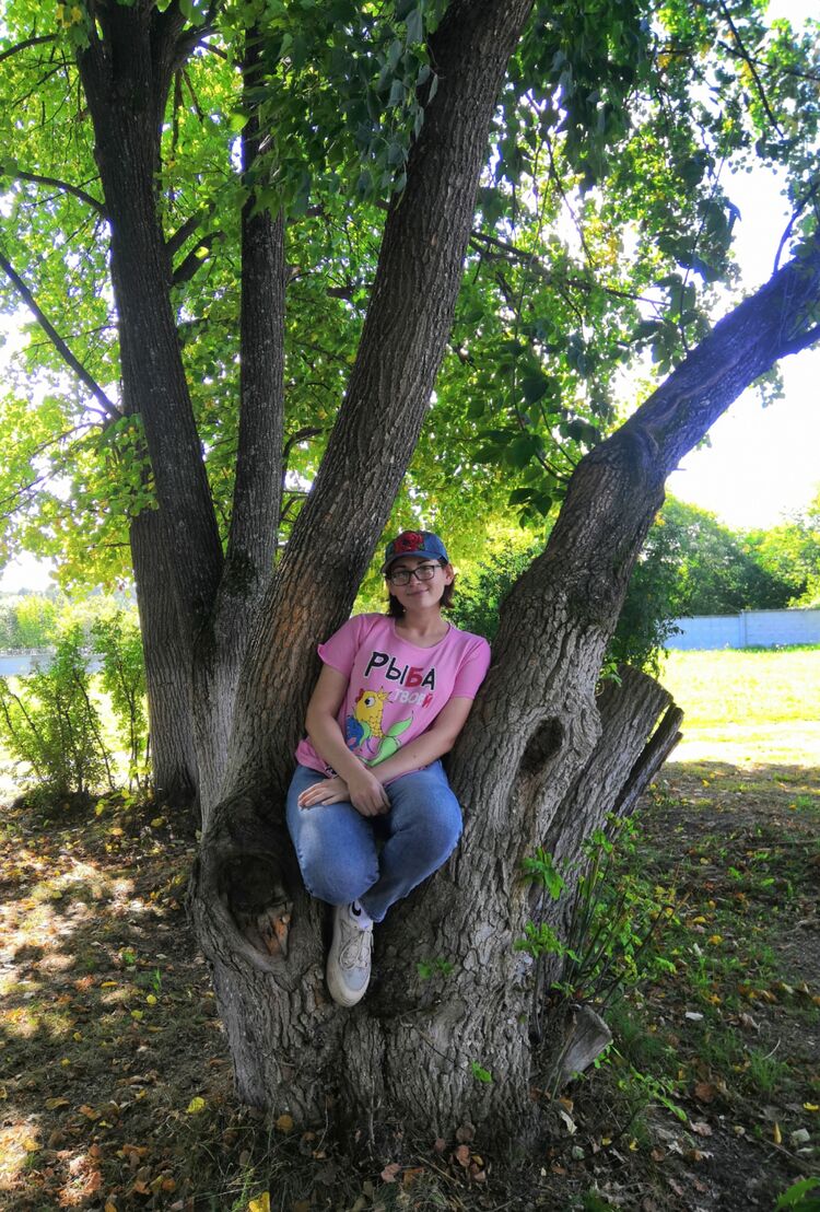 ���������� ������������, ���� ������� �����, 22 ����, ������������ ��� c�������� ���������, ���������