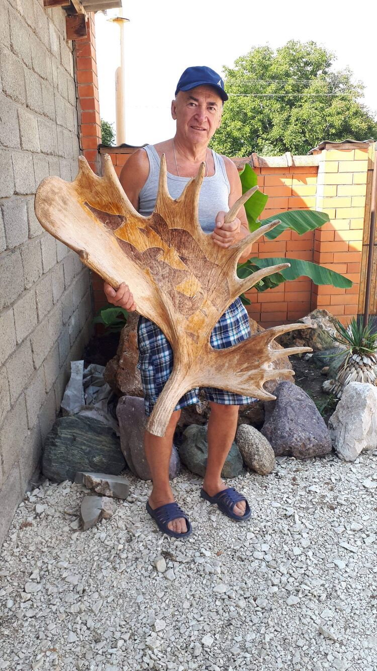 ���� 54451142 ������� �������, 62 ����, ���� ���������� � ������������