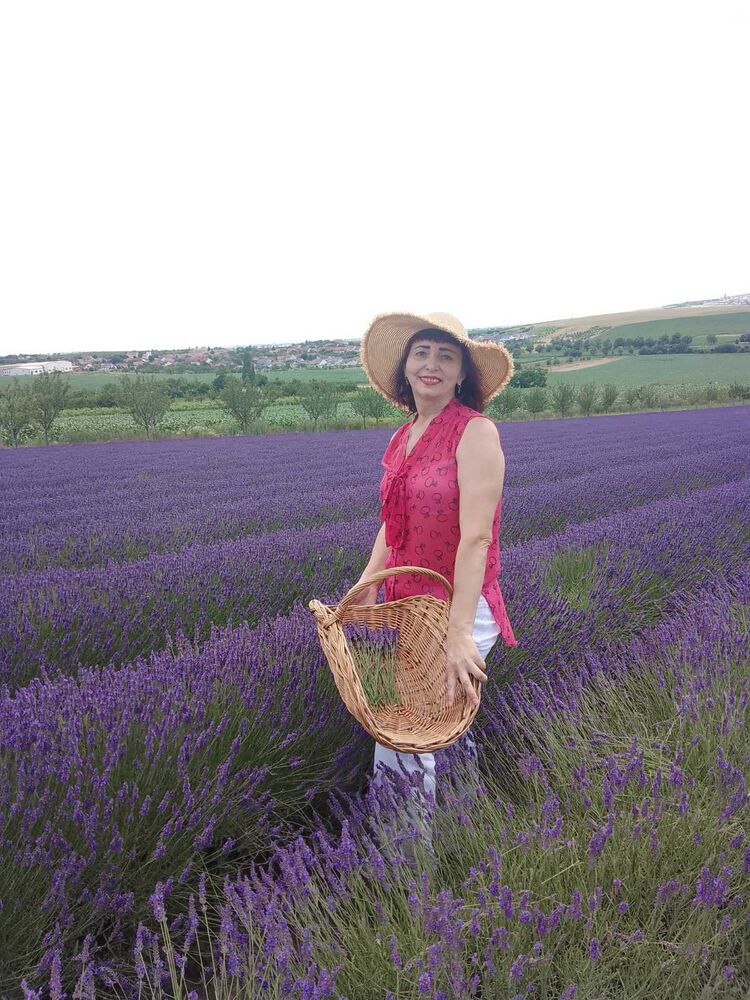  54665682  Svirlana, 55 ,    