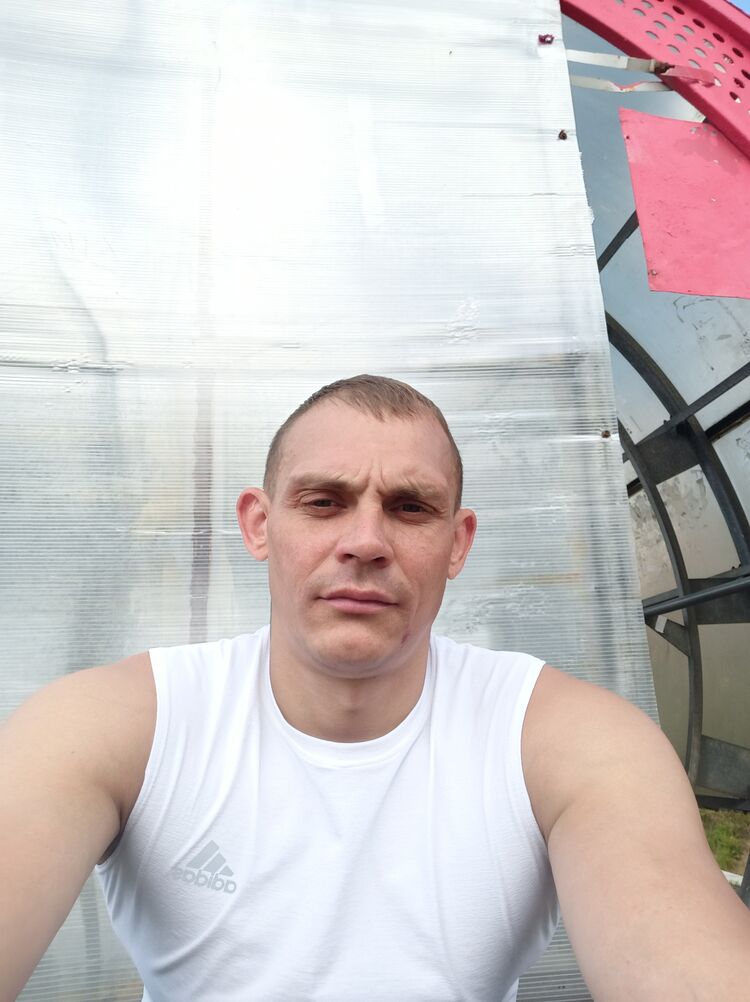  45233982  , 37 ,    