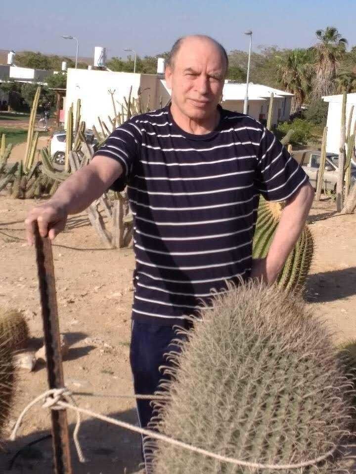  19372572  , 66 ,    Ashqelon
