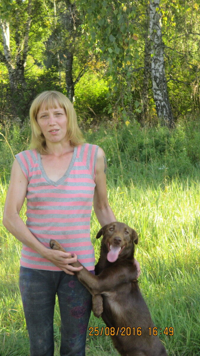 ���������� �����������, ���� ������� �������, 38 ���, ������������ ��� ������, ����� � ���������, c�������� ���������