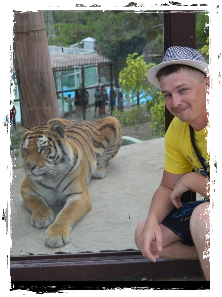 ���������� �����, ���� ������� ����, 38 ���, ������������ ��� ������, ����� � ���������