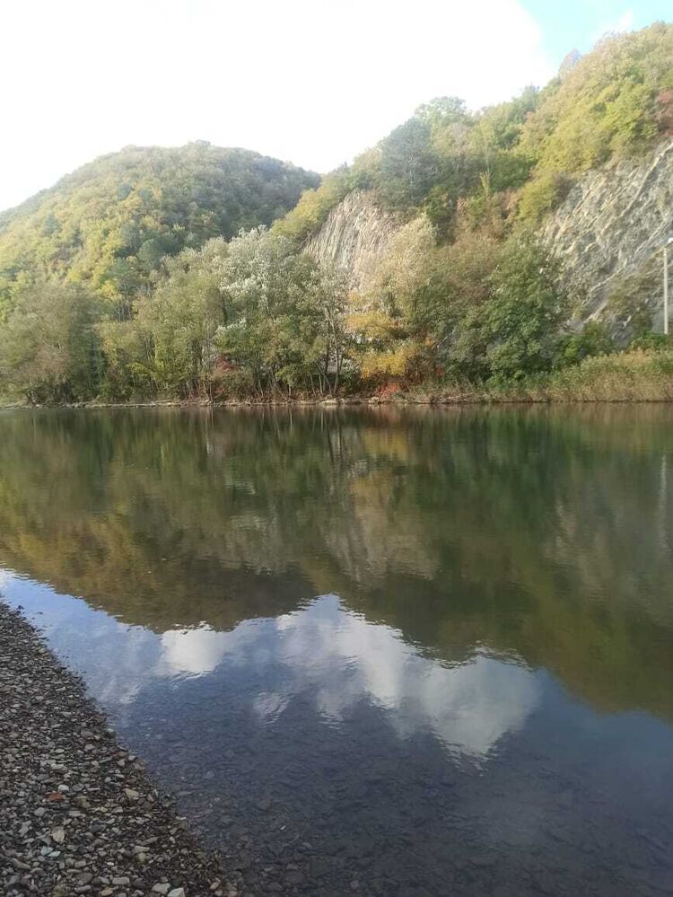 ���������� ��������, ���� ������� ��������, 34 ����, ������������ ��� c�������� ���������, ���������