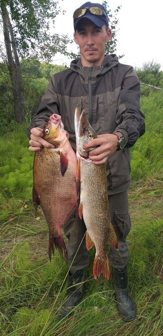 ���� 25316772 ������� Roman, 34 ����, ���� ���������� � ������