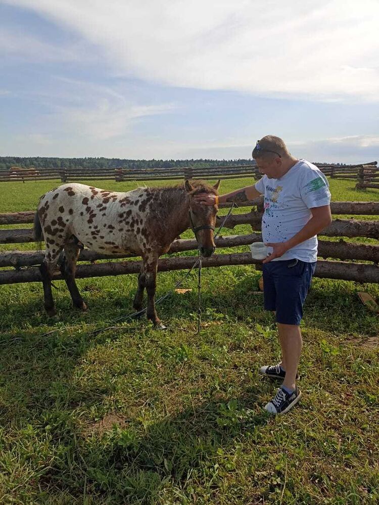 ���������� ������, ���� ������� �����, 37 ���, ������������ ��� ������, ����� � ���������, c�������� ���������, ���������