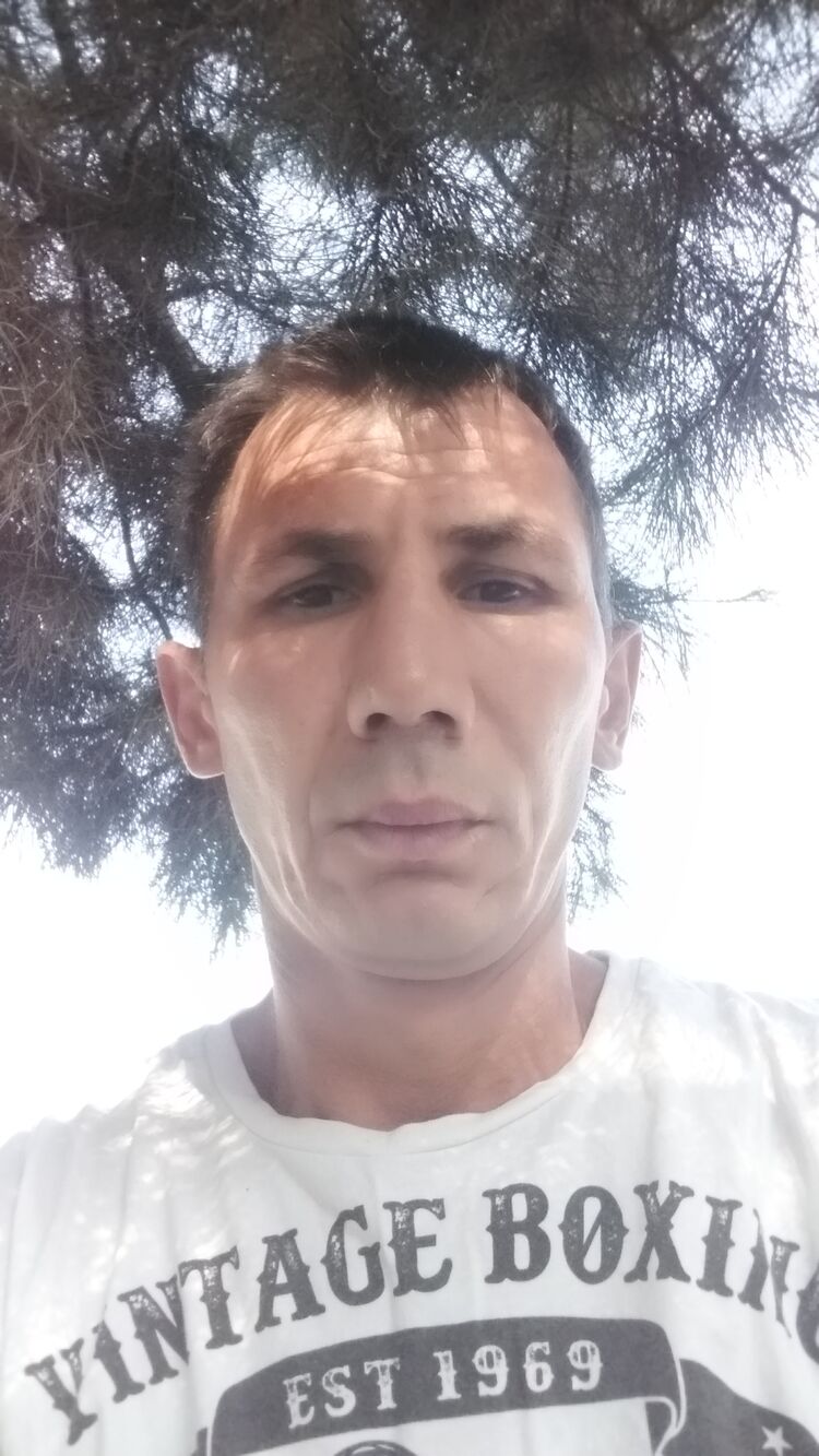  24797122  , 43 ,    