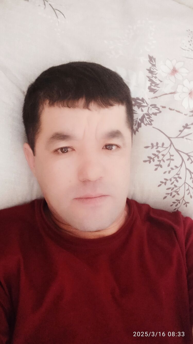  51126002  , 37 ,     