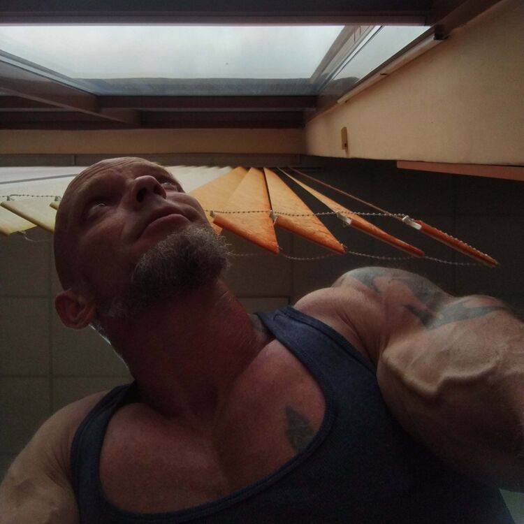  45152132  , 46 ,    