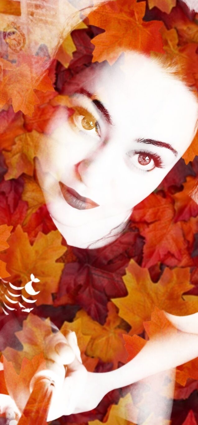 ���� 32186602 ������� ����, 40 ���, ���� ���������� � ������