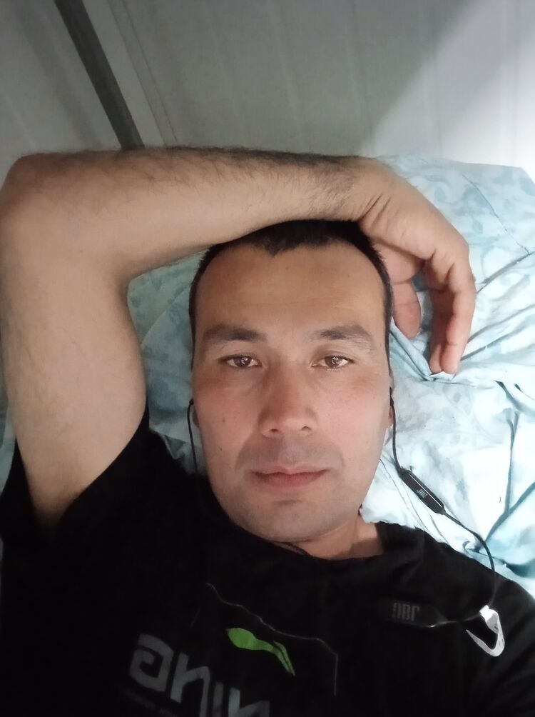  38184292  , 43 ,    