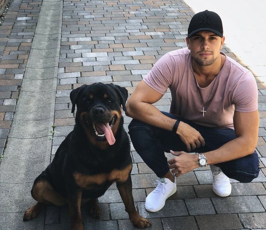  54638302  , 38 ,    -