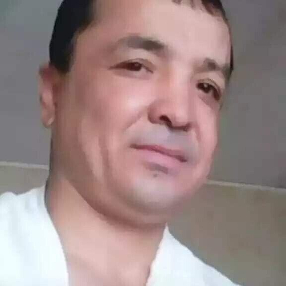  50617332  , 40 ,    