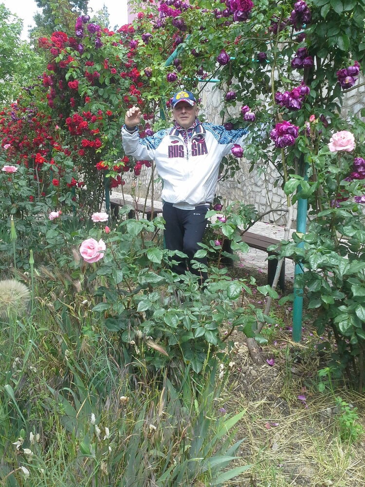 ���������� ������, ���� ������� ����, 68 ���, ������������ ��� ������, ����� � ���������, c�������� ���������