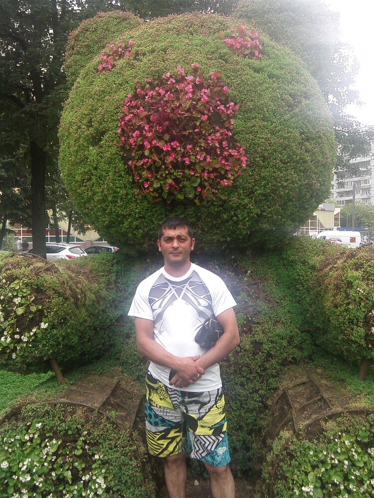 ���������� �������, ���� ������� ����, 49 ���, ������������ 