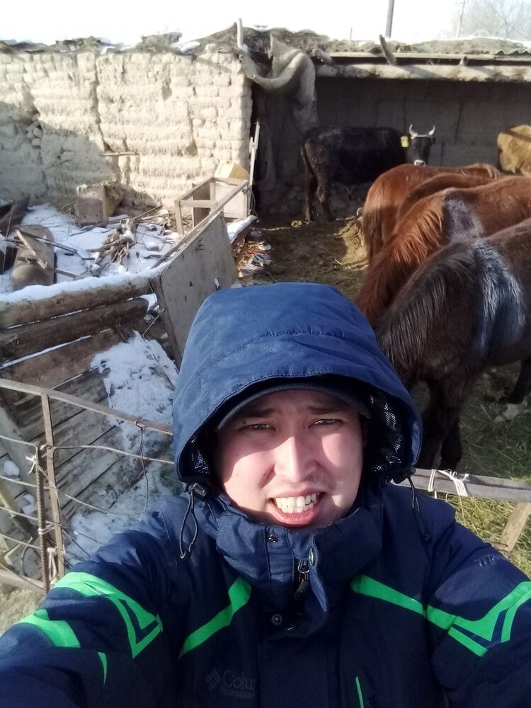 ���� 13387672 ������� ����, 34 ����, ���� ���������� � �������