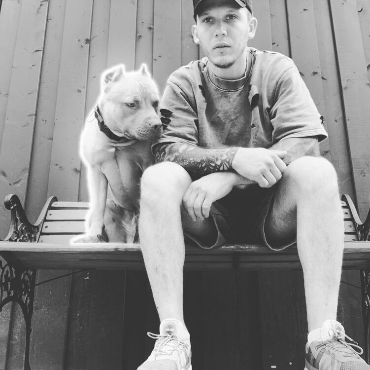 ���������� �����-���������, ���� ������� �������, 33 ����, ������������ ��� ������, ����� � ���������