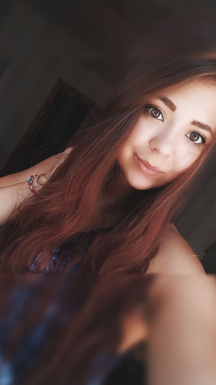  53163812  , 24 ,    