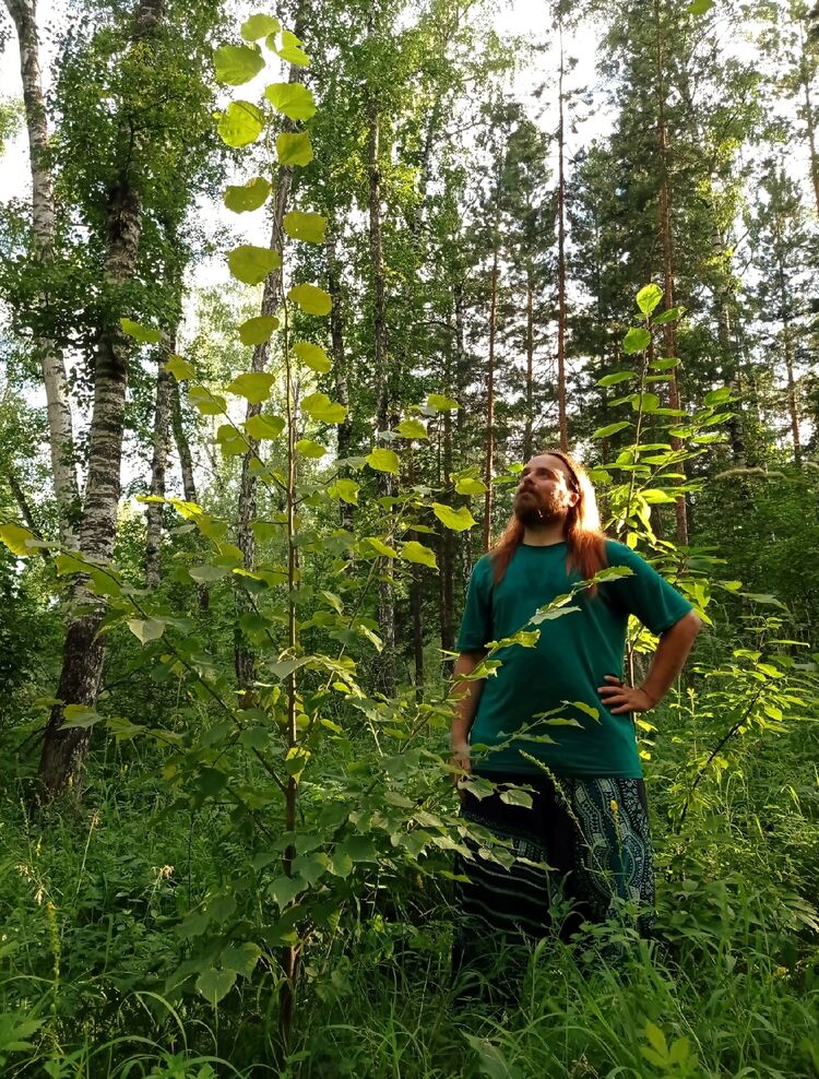 ���������� ����������, ���� ������� Elmo, 35 ���, ������������ ��� ������, ����� � ���������, c�������� ���������