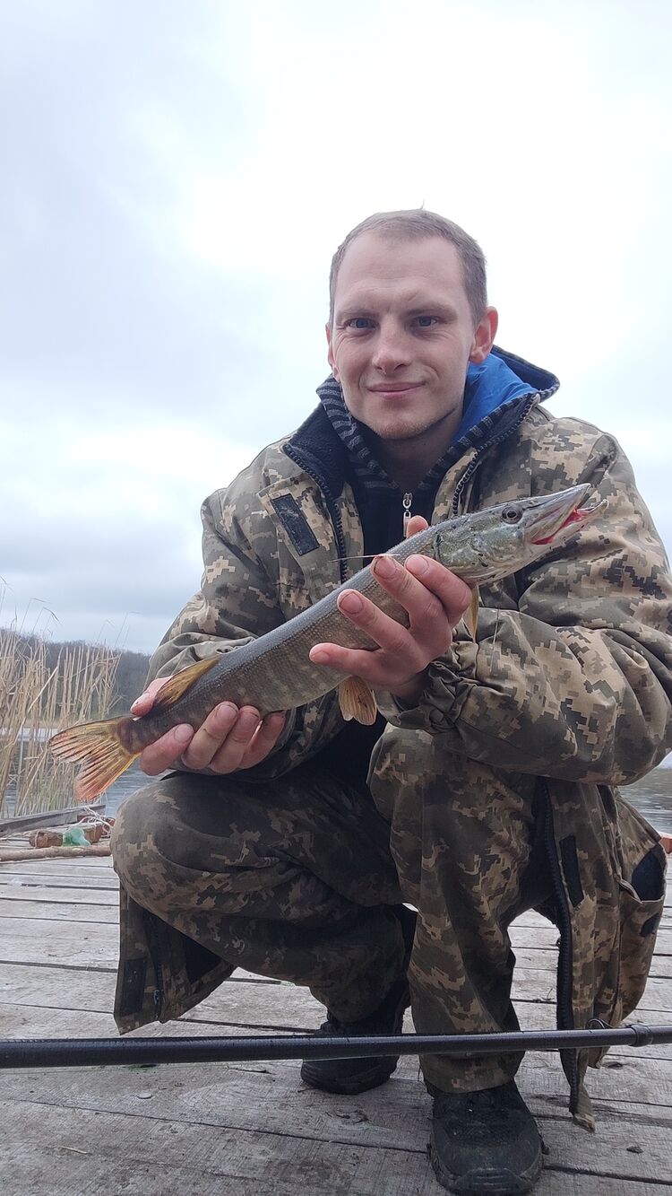  34018992  Dima, 28 ,    