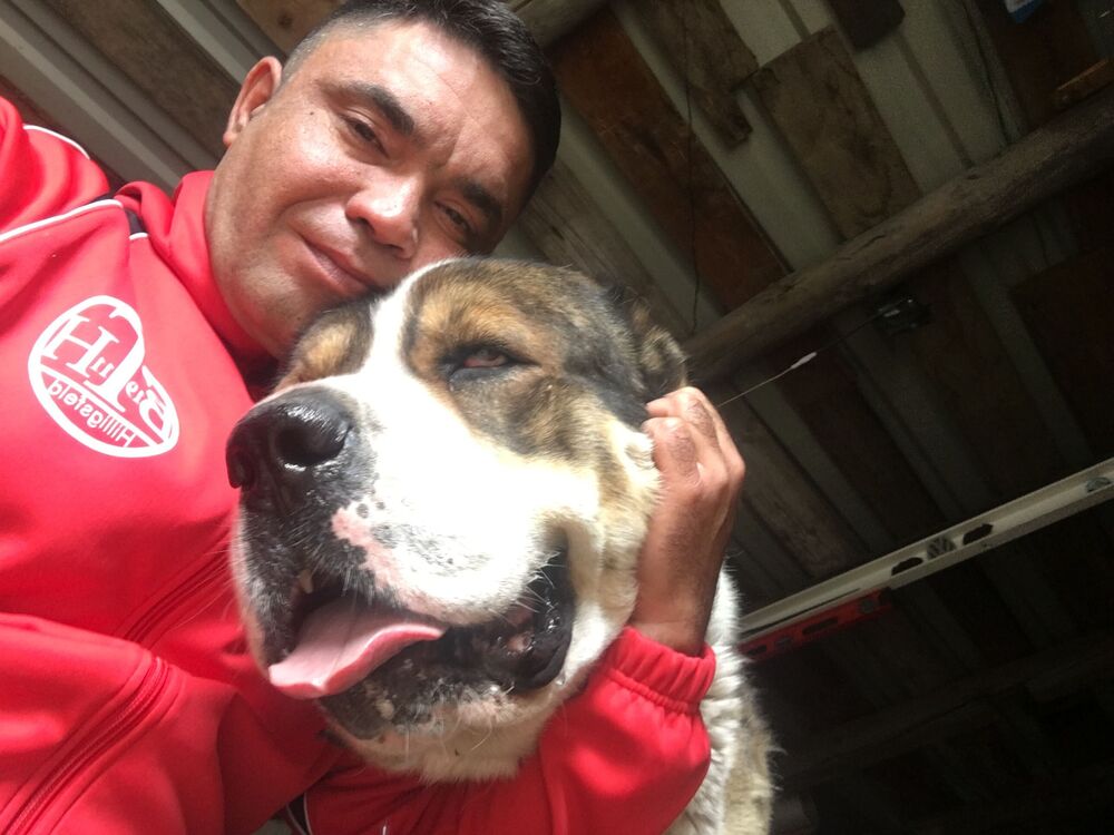 ���������� ���������, ���� ������� ������, 45 ���, ������������ ��� ����� � ���������, c�������� ���������